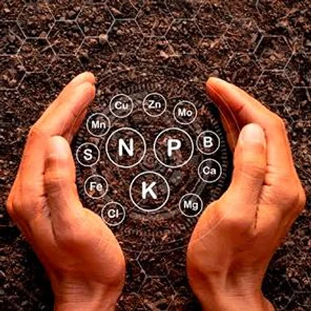 Анализ почвы